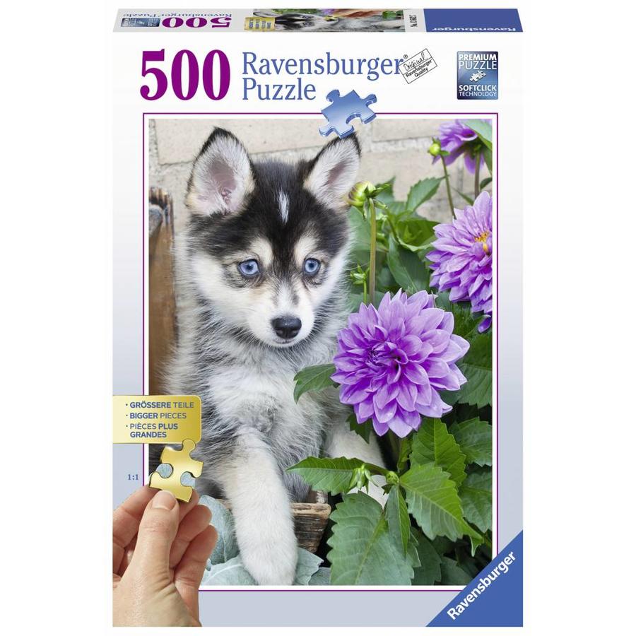 Cute Husky - puzzle of 500 XXL pieces-2