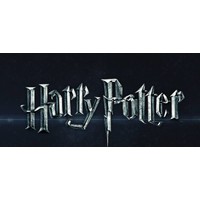 Harry Potter - Golden Snitch - 3D puzzle