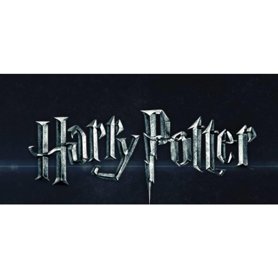 Harry Potter - Hagrid's Hut - 3D puzzle-6