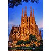 Educa Sagrada Familia - 1000 pieces