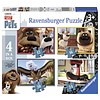 Ravensburger Pets - 4 puzzels van 12+16+20+24 stukjes