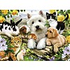 Ravensburger Animal lovers - 300 pieces XXL