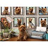 Cobble Hill Yorkies are my type - puzzle of 1000 pieces