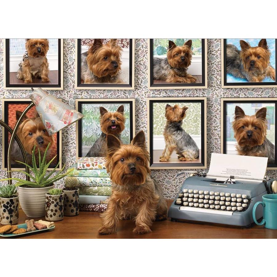 Yorkies are my type - puzzle of 1000 pieces-1