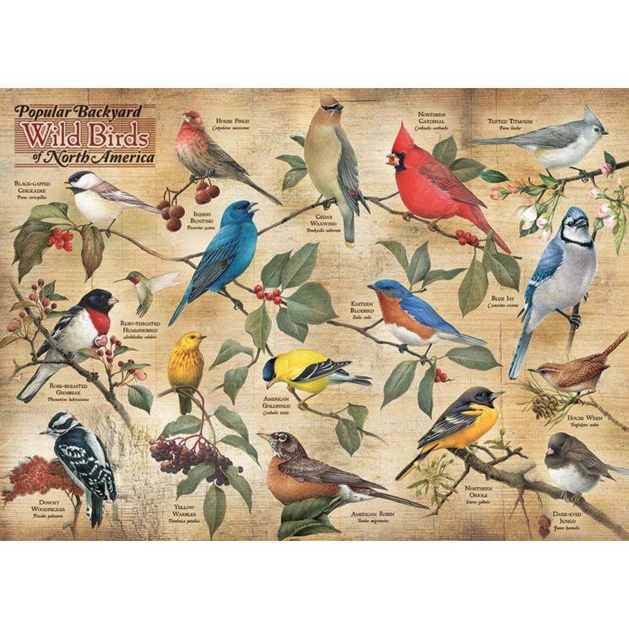 Les oiseaux dans votre jardin - puzzle de 1000 pièces-1