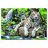 Educa White Bengal tigers - 1000 pieces