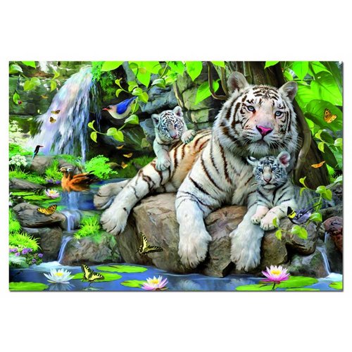  Educa White Bengal tigers - 1000 pieces 