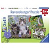 Ravensburger Tiger kittens - 3 puzzles of 49 pieces