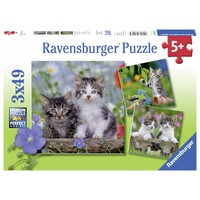 thumb-Tiger kittens - 3 puzzles of 49 pieces-1