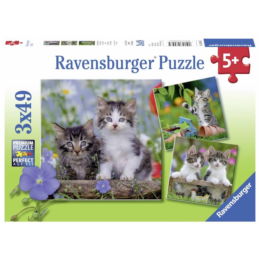 Chatons tigrés - 3 puzzles de 49 pièces-1