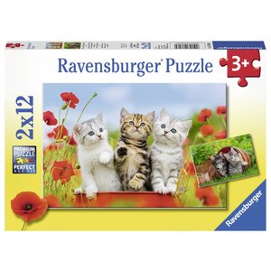 Kitten Puzzle Re-Marks 250 Piece Jigsaw Puzzle