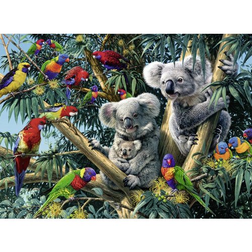  Ravensburger Koalas in the tree - 500 pieces 