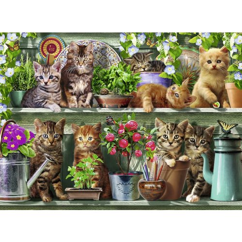  Ravensburger Cats on the shelf - 500 pieces 