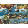 Cobble Hill Fish Pics - puzzle of 1000 pieces
