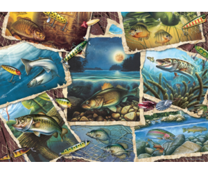 Puzzle Da 1000 Pezzi Cobble Hill - Pesce D'acqua Dolce Del Nord America Poster Campione Incluso~p139074918