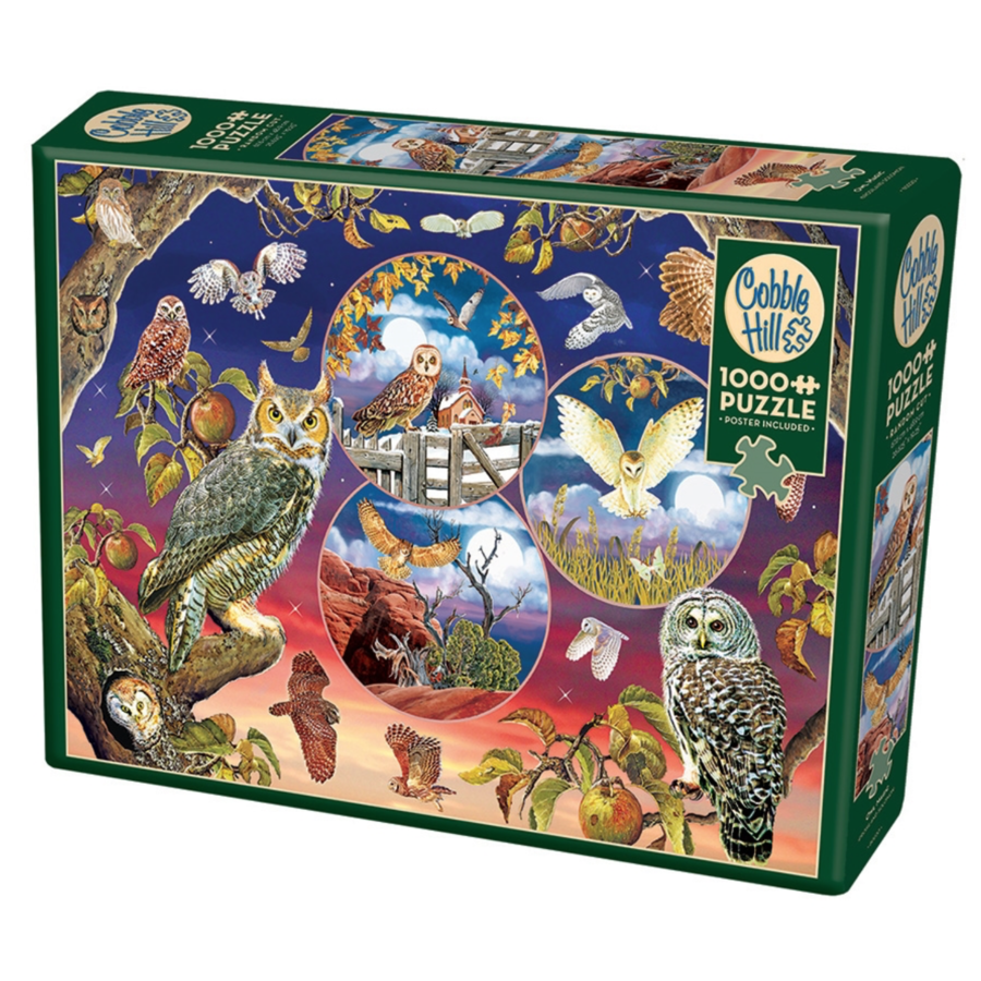 Magie du hibou - puzzle de 1000 pièces-2