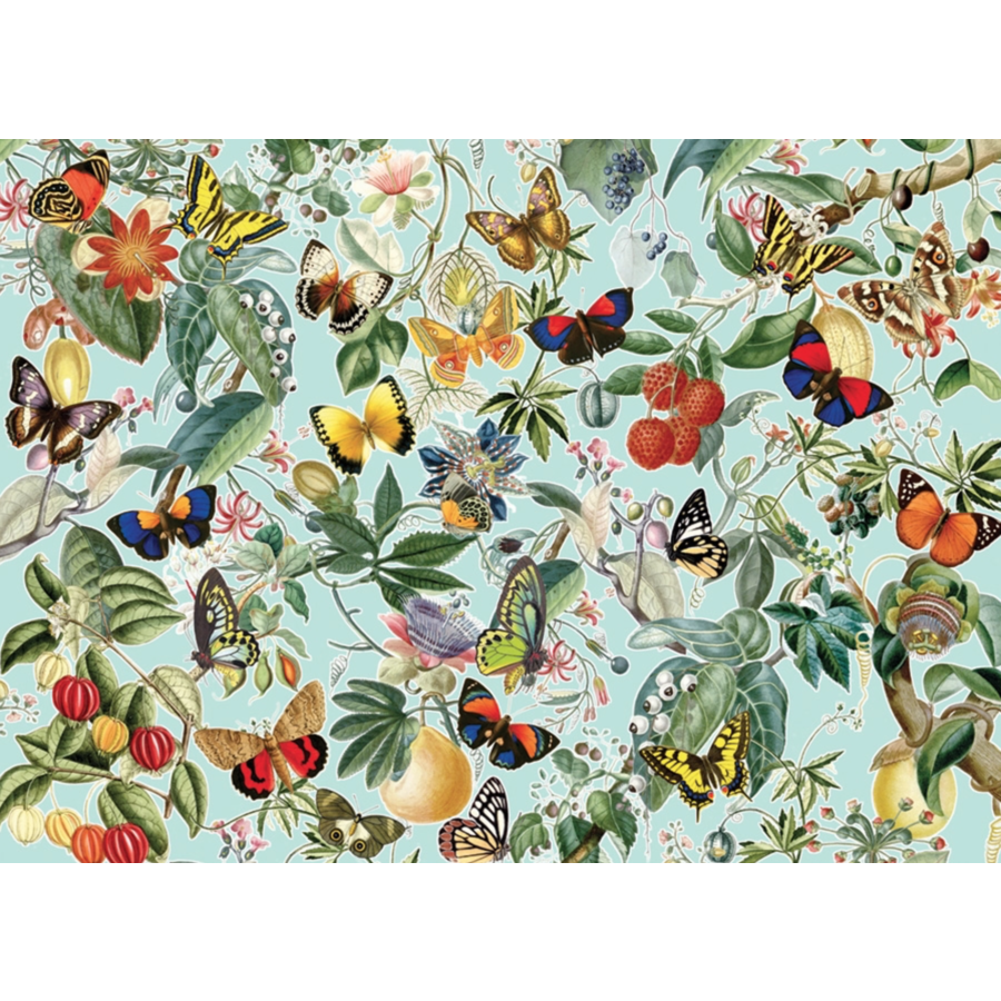 Fruits et papillons  - puzzle de 1000 pièces-1