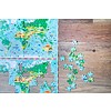 Djeco Plus d'une carte du monde - casse-tête de 200 pièces Djeco Plus d'une carte du monde - casse-tête de 200 pièces