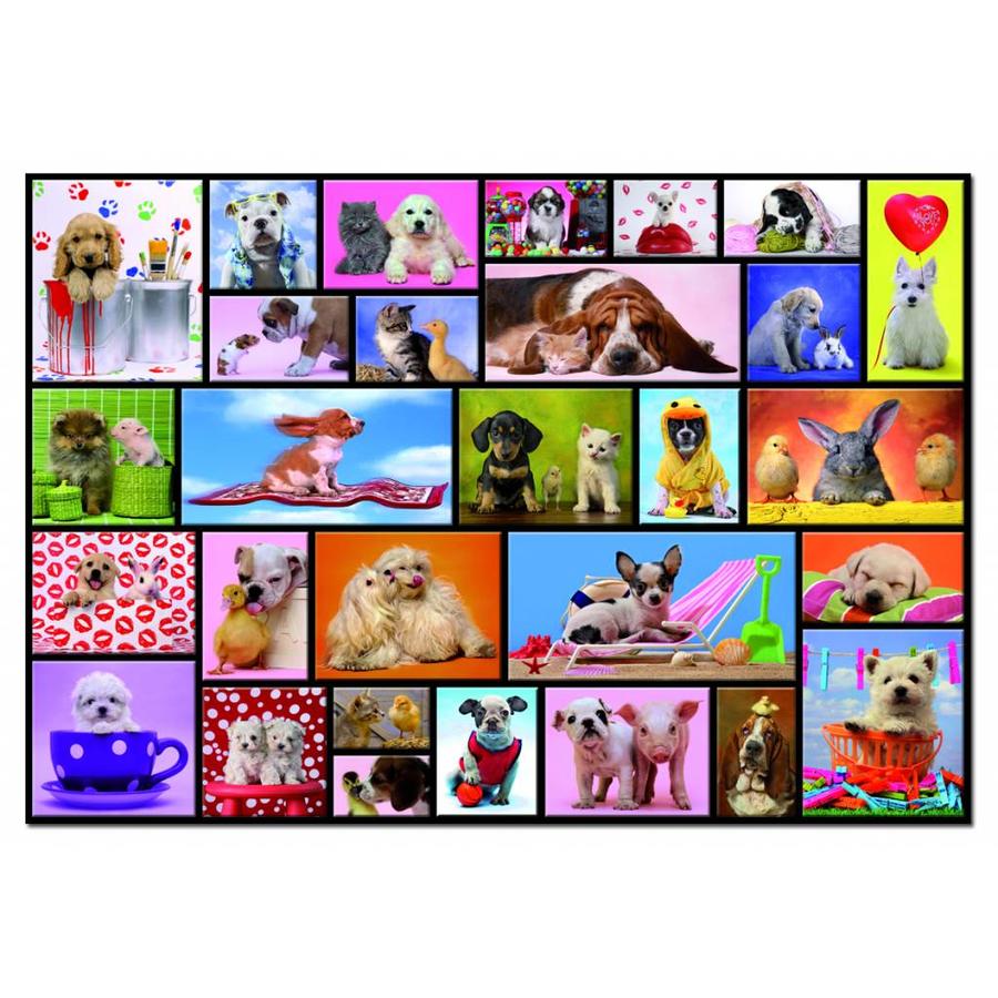 Buying Educa puzzles? Attractive prices! Wide choice! Puzzles123