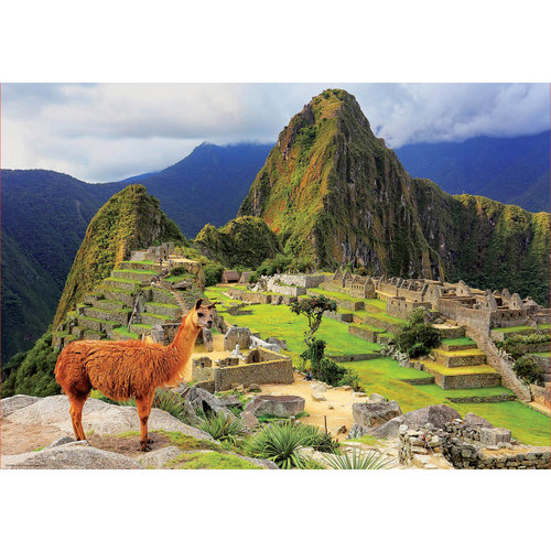  Educa Machu Picchu - Perou - 1000 pièces 