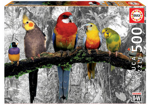  Educa Birds on the jungle - 500 pieces 