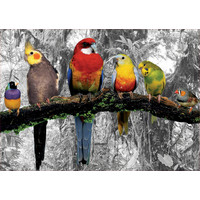 thumb-Vogels in de jungle - zwart/wit - legpuzzel van 500 stukjes-2