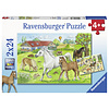 Ravensburger At the equestrian center - 2 puzzles of 24 pieces