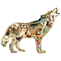 Native American Wolf - legpuzzel van 750 stukjes