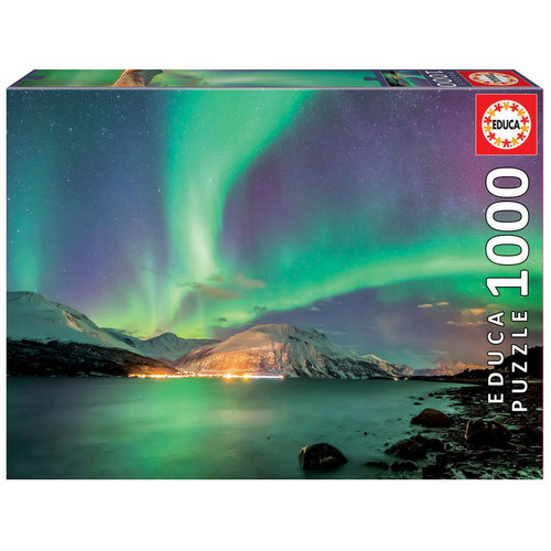 Educa The Northern Lights - 1000 pieces 