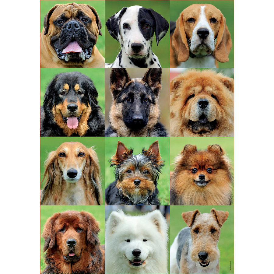 Collage des chiens  - puzzle de 500 pièces-1