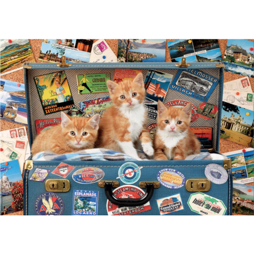  Educa Kittens on a holiday - puzzle of 200 pieces 