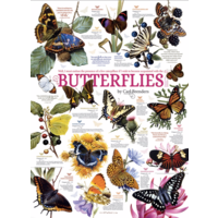 thumb-Butterfly Quotes - 1000 pieces-1