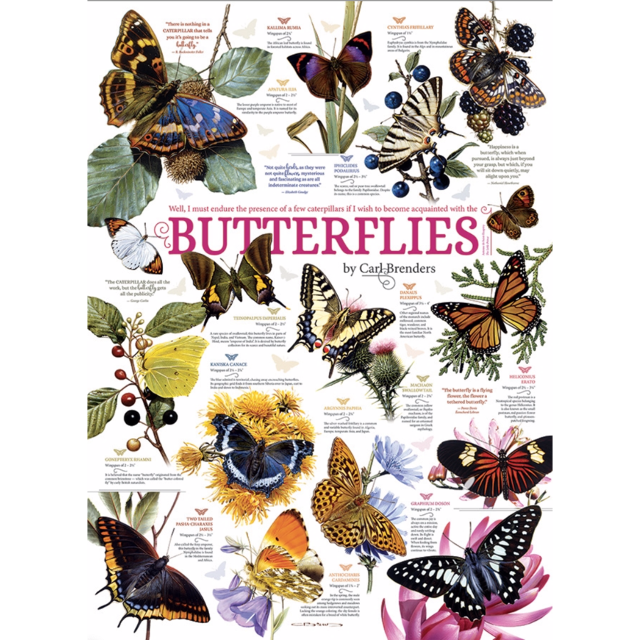 Butterfly Quotes - 1000 pieces-1