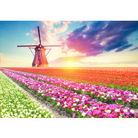 thumb-Tulpenlandschap- legpuzzel van 1500 stukjes-2