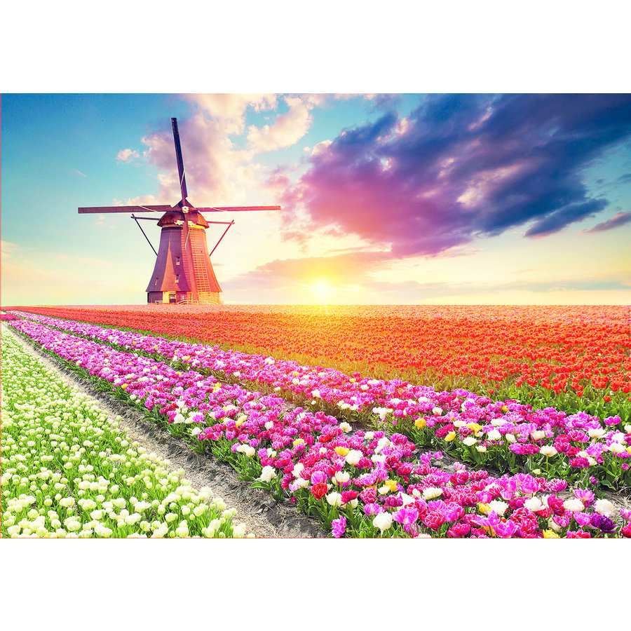 Tulips Landscape - jigsaw puzzle of 1500 pieces-2