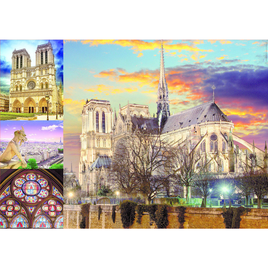 Collage de Notre Dame - 1000 pièces-2