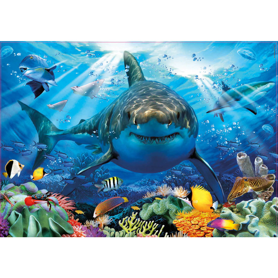 Great White Shark - 500 pieces  -  jigsaw puzzle of 500 pieces-2