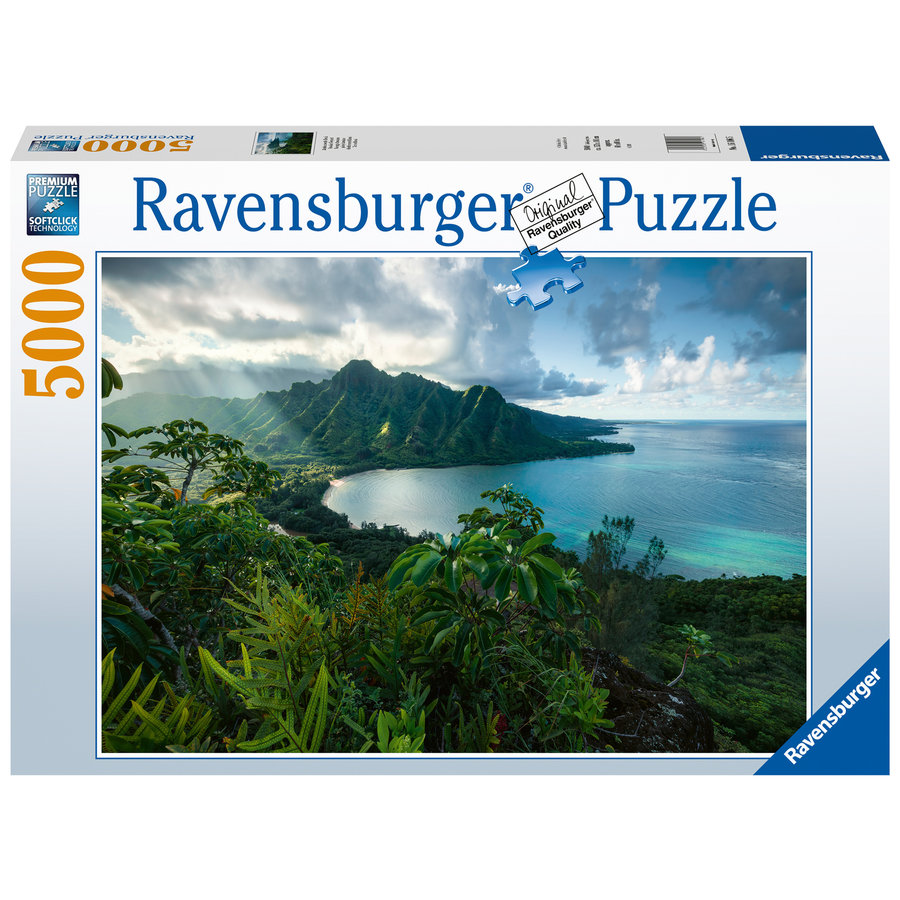 View of Hawaii  - puzzle of 5000 pieces-1