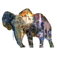 Eléphant à la chute d'eau - puzzle de 1000 pièces