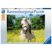 thumb-Cheval blanc - puzzle de 500 pièces-2