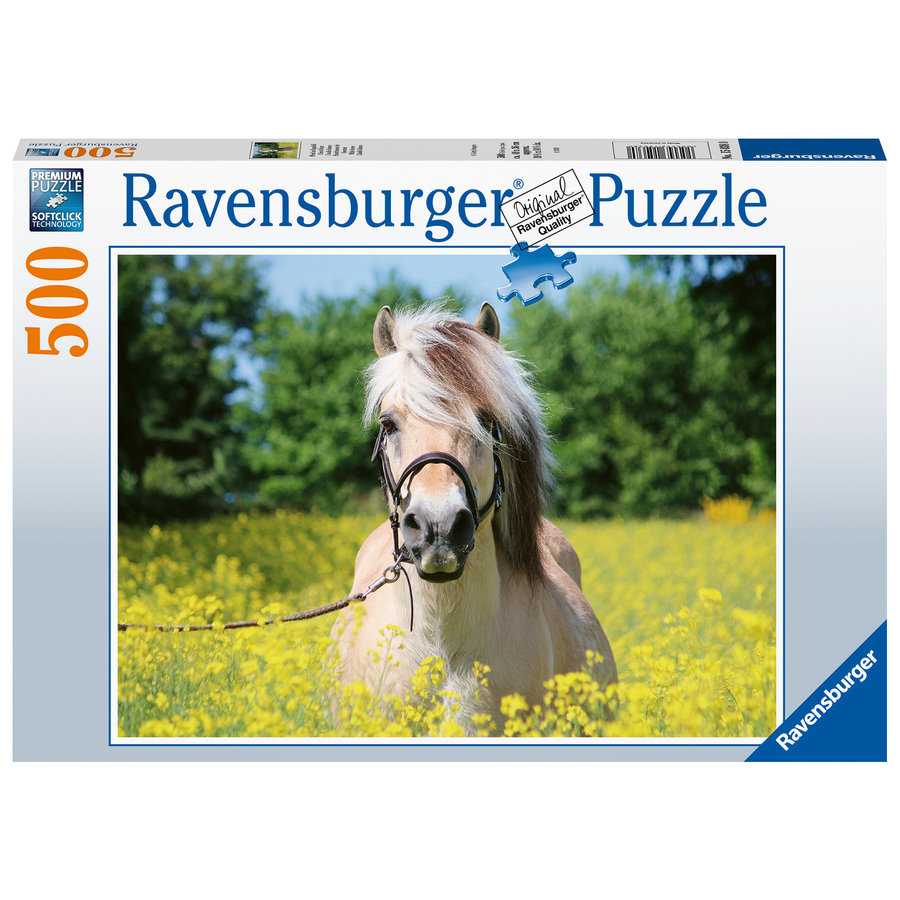 Cheval blanc - puzzle de 500 pièces-2