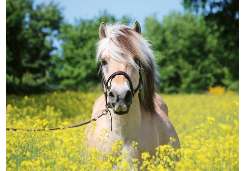  Ravensburger Paard tussen de bloemen - 500 stukjes 