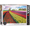 Eurographics Puzzles Champ de tulips - puzzle de 1000 pièces