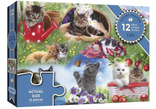  Gibsons Cats - 12 XXL pieces 