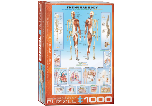  Eurographics Puzzles The human body - 1000 pieces 