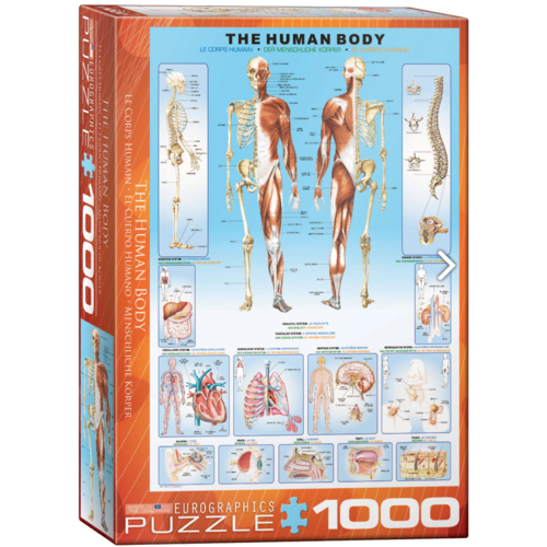  Eurographics Puzzles The human body - 1000 pieces 