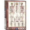 Eurographics Puzzles The skeletal system - 1000 pieces - jigsaw puzzle