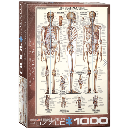  Eurographics Puzzles The skeletal system - 1000 pieces 