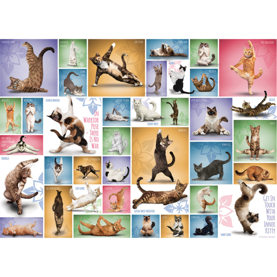 Yoga Cats - Collage - 1000 pieces - jigsaw puzzle-1