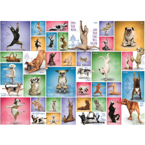  Eurographics Puzzles Yoga Dogs - Collage - 1000 pieces 
